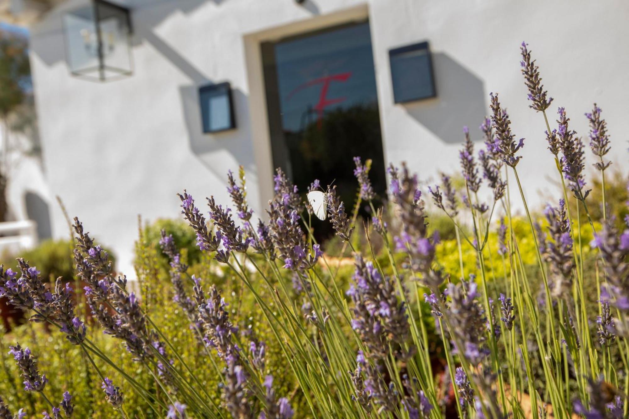 Mas De La Fouque - Hotel & Spa Saintes-Maries-de-la-Mer Bagian luar foto